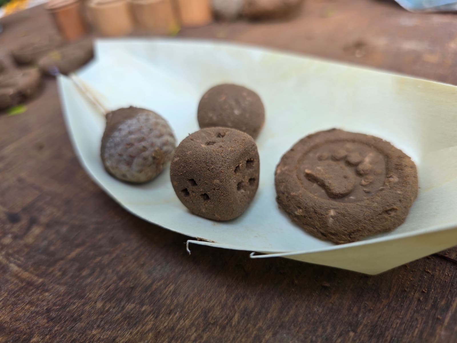 משחקי אדמה וטבע