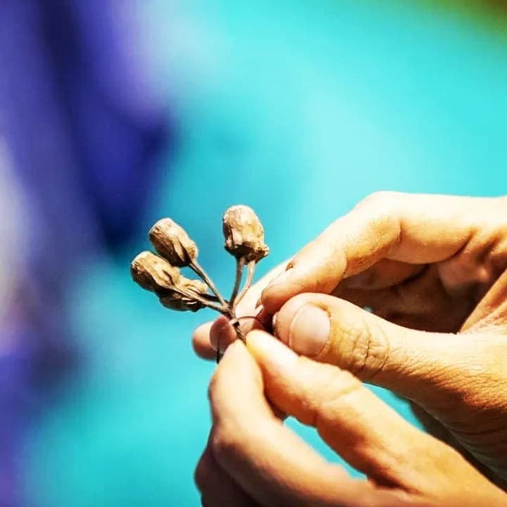 תמונות מסדנאות היצירה מהטבע