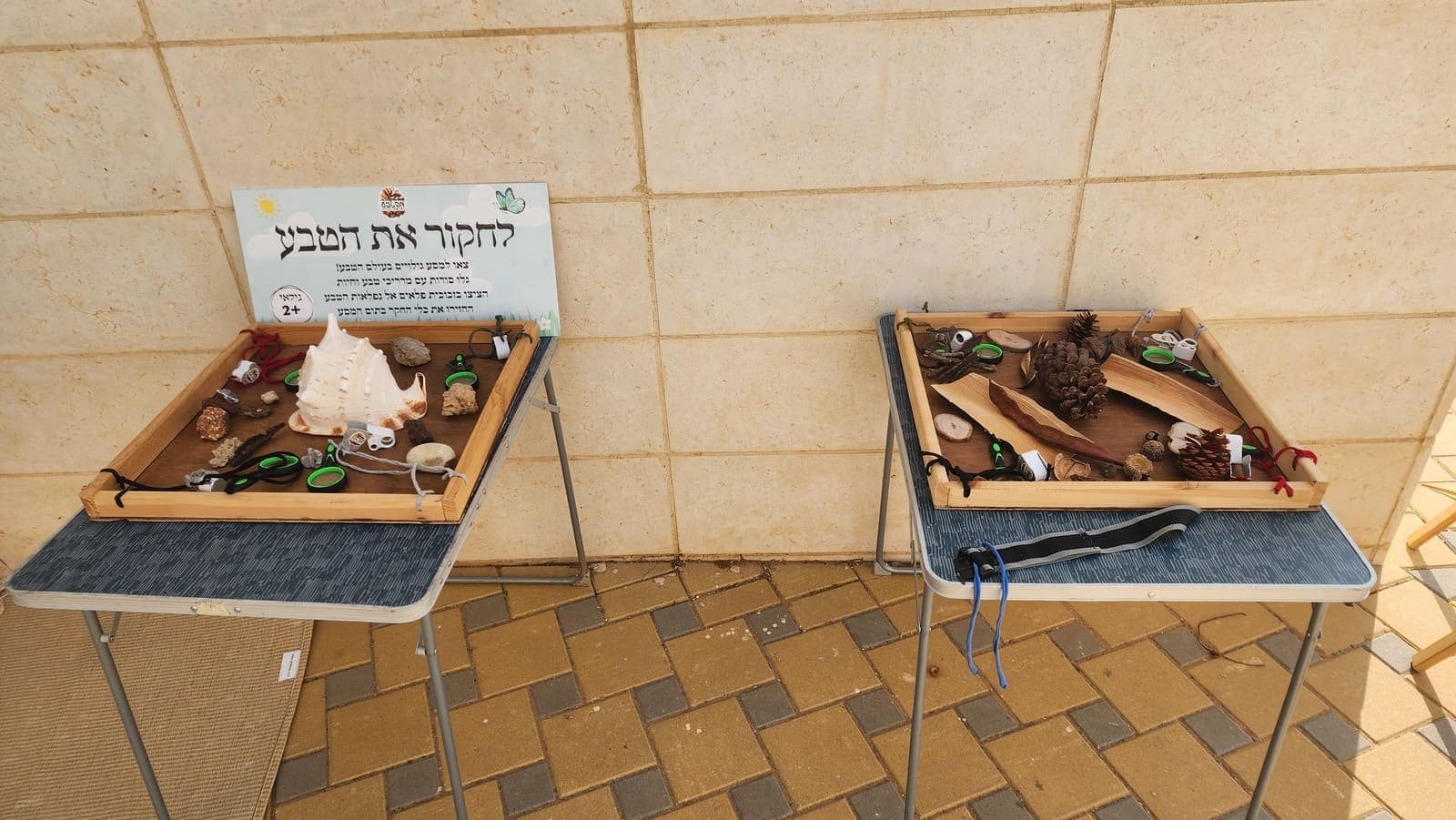 תמונות ממשחקיות הטבע