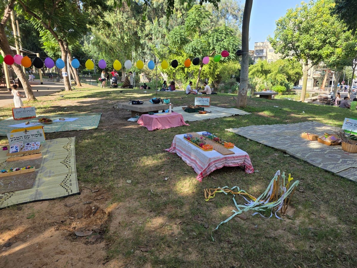הפנינג יום הולדת בפארק עם מחצלות ודגלונים