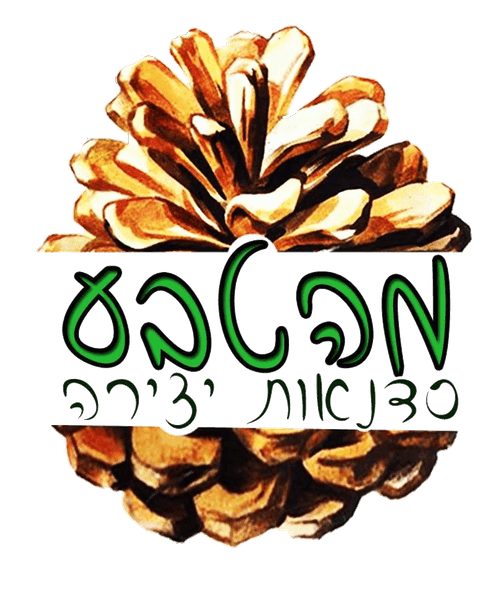 מהטבע סדנאות יצירה