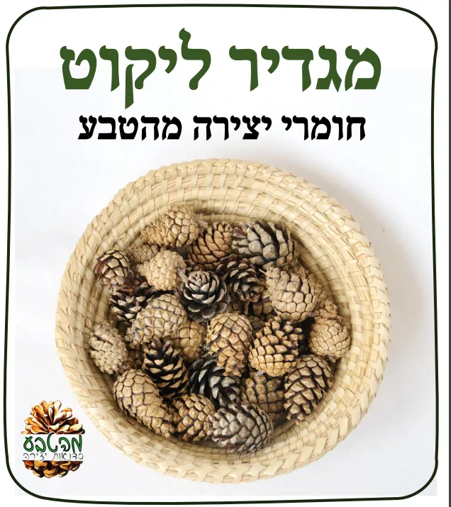 מגדיר ליקוט חומרי טבע ליצירה